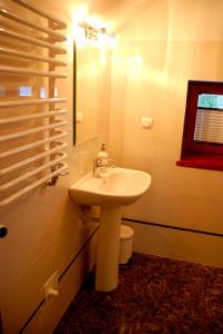 ein Badezimmer mit einem Waschbecken, einem WC und einem Spiegel in der Unterkunft Hortensja in Nowa Wieś
