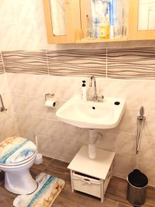 een badkamer met een wastafel en een toilet bij Franc Apartments Island Vir Croatia in Vir