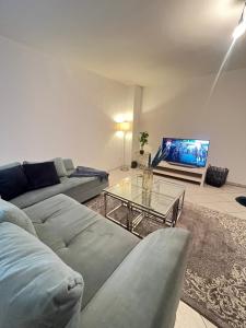 Maisons du Souihel في ريكلينغاوسين: غرفة معيشة مع أريكة وتلفزيون