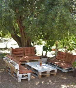 two couches and a table in front of a tree at Vila Toskaj in Vlorë