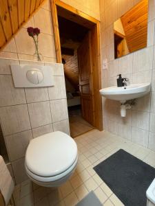 bagno con servizi igienici e lavandino di Alma Apartmanház a Harkány