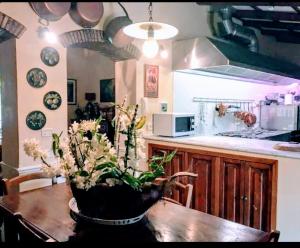 A kitchen or kitchenette at Rome villa swimming pool