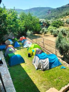 un gruppo di tende che si trovano nell'erba di Efes Hidden Garden Resort Otel a Selçuk