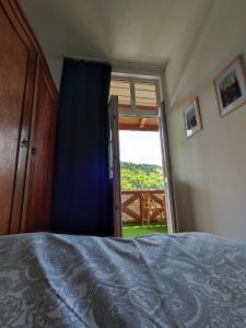 sypialnia z łóżkiem i przesuwnymi szklanymi drzwiami w obiekcie Nikifour, apartament nad deptakiem w mieście Krynica Zdrój