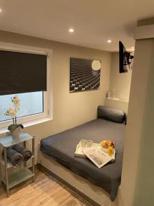 Habitación pequeña con cama y ventana en Moderne Ferienwohnung in Waldrandlage mit einem Hauch von Luxus en Burgthann