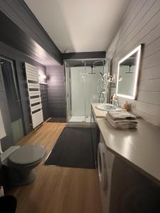 un bagno con doccia, lavandino e WC di EGLANTINE APPARTEMENT CENTRE HISTORIQUE DE DINAN a Dinan Altre 15 foto