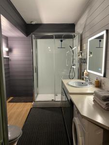 un bagno con doccia e lavandino di EGLANTINE APPARTEMENT CENTRE HISTORIQUE DE DINAN a Dinan