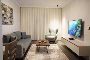 ein Wohnzimmer mit einem Sofa, einem Stuhl und einem TV in der Unterkunft Apartament Koha 