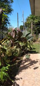 a garden with lots of plants and a sidewalk at Casa Cristy in Puerto Viejo