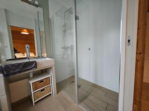 a bathroom with a shower and a sink and a mirror at Gite La Lumette in Besse-et-Saint-Anastaise +18 photos