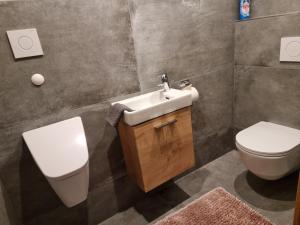 a bathroom with a toilet and a sink at Ferienwohnungen Zinzlerbauer in Uttendorf