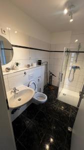 a bathroom with a toilet and a sink and a shower at Ferienhaus in Walow in Walow