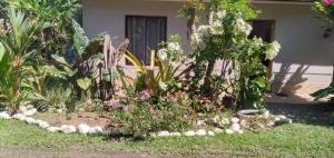 un giardino con rocce e fiori di fronte a una casa di Casa Cristy a Puerto Viejo