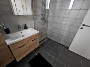 een badkamer met een wastafel en een douche bij level UP -self check in in Osijek
