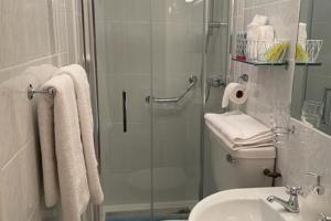 a bathroom with a shower and a toilet and a sink at Bru Na Pairc B&B in Bantry