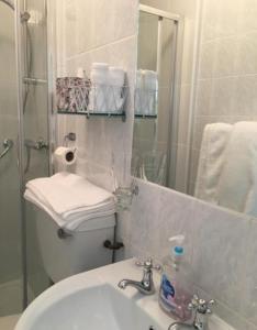 a bathroom with a toilet and a sink and a shower at Bru Na Pairc B&B in Bantry