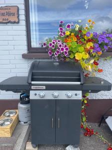a barbecue grill with flowers in a window at Bru Na Pairc B&B in Bantry