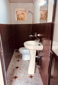 a bathroom with a sink and a toilet at La Sirena Ambositra in Ambositra