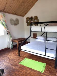 1 Schlafzimmer mit 2 Etagenbetten und einem Teppich in der Unterkunft La Sirena Ambositra in Ambositra