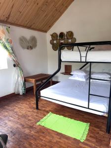 a bedroom with two bunk beds and a rug at La Sirena Ambositra in Ambositra