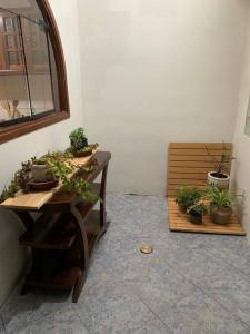 a table with potted plants on it next to a bench at Céntrico y acogedor apartamento in Cajamarca