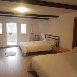a bedroom with two beds and a window at Casa Ile in Vişeu de Sus