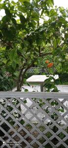 une clôture blanche à côté d'une table et d'un arbre dans l'établissement Fari Hotel, à Golem