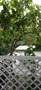 Fari Hotel - Image 7