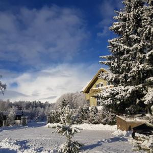 einen schneebedeckten Hof mit einem Haus und einem Weihnachtsbaum in der Unterkunft North Lake Villa Plateliai in Plateliai