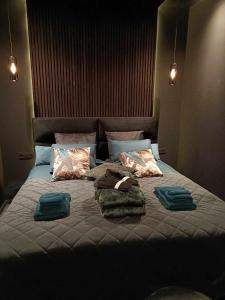 1 cama con 2 almohadas y toallas en La Chambre Delta en Morlanwelz-Mariemont