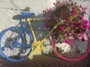 een gele fiets geparkeerd naast een muur met bloemen bij Bru Na Pairc B&B in Bantry