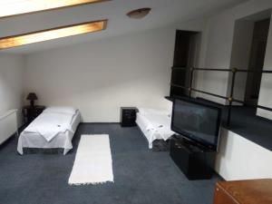 Zimmer mit 2 Betten und einem Flachbild-TV in der Unterkunft Penzion Prajzko, Hronov in Hronov