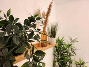Сад в SuperValue Suite 7 - Fast WiFi, Hotel Linen, Keyless Entry, City only 10 Mins - BY PROPERTY PROMISE