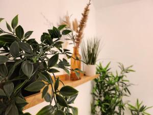 ApartHotel Flat 7: Keyless Entry. 10 min to centre by Property Promise في كارديف: مجموعة من النباتات الفخارية الموجودة على الرف
