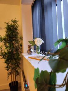 Зображення з фотогалереї помешкання SuperValue Suite 7 - Fast WiFi, Hotel Linen, Keyless Entry, City only 10 Mins - BY PROPERTY PROMISE у місті Кардіфф
