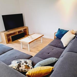 ein Wohnzimmer mit Sofa und Fernseher in der Unterkunft La maison au bout du chemin in Poey-dʼOloron