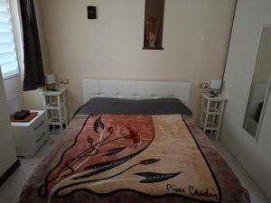 een slaapkamer met een bed met een tapijt erop bij Il nido di Ele in Stresa