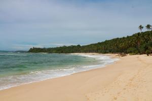 a beach with palm trees and the ocean at Silent Beach Homestay in Tangalle