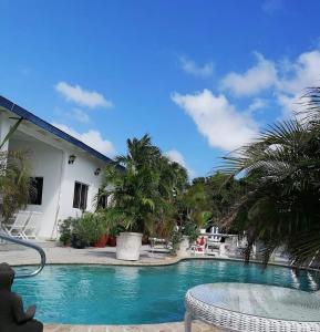 uma piscina em frente a uma casa com palmeiras em Palmita Hotel Hostel em Oranjestad