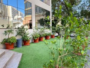 فندق زهرة الياسر مكة في مكة المكرمة: صف من النباتات الفخارية أمام المبنى