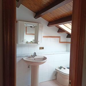a bathroom with a sink and a toilet at Pensión Casa Morán in Benia de Onís