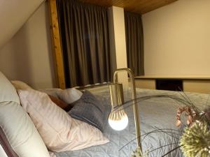Villa Haškova with 3 bedrooms客房内的一张或多张床位