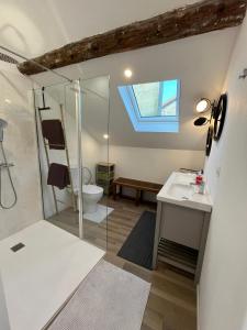 La salle de bains est pourvue d'une douche, de toilettes et d'un lavabo. dans l'établissement Maison bord de Marne pour 10 personnes avec jacuzzi, à Châlons-en-Champagne