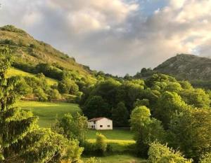a white house in the middle of a green field at Pensión Casa Morán in Benia de Onís
