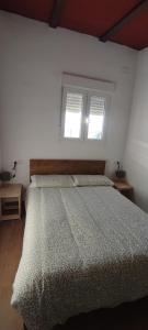 1 dormitorio con 1 cama grande y 2 ventanas en Refugio rural cerca de El Rocio- El flamenco azul en Almonte