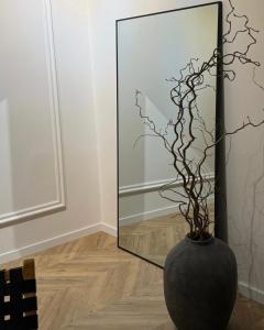 a vase with a plant in front of a mirror at Kukučínova apartment in Bratislava
