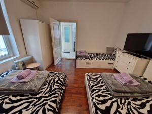 Ένα ή περισσότερα κρεβάτια σε δωμάτιο στο Belgrade Downtown Homestay