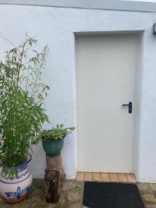 a white door with two potted plants next to it at Casa del Buho in Chiclana de la Frontera