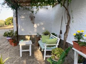 een patio met 2 stoelen, een tafel en planten bij Casa del Buho in Chiclana de la Frontera