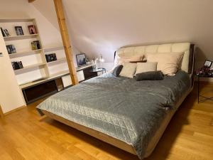 Villa Haškova with 3 bedrooms客房内的一张或多张床位